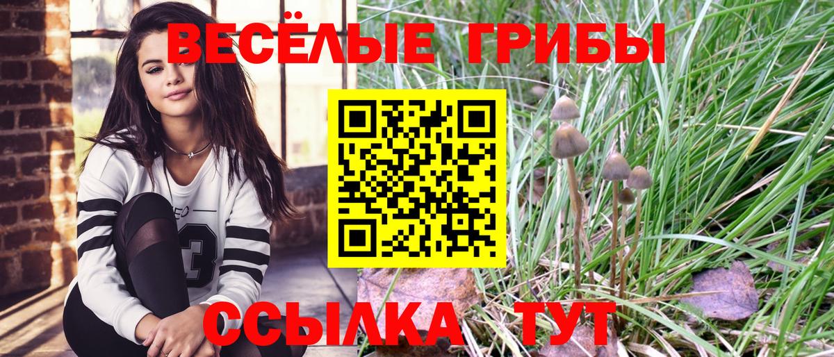 Галлюциногенные грибы Cubensis  Вход с VPN  Аксай 