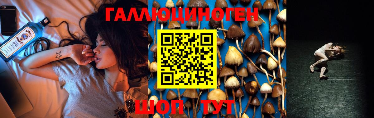 Галлюциногенные грибы мицелий Аксай